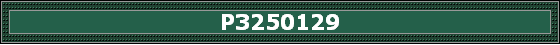 P3250129