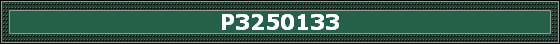 P3250133