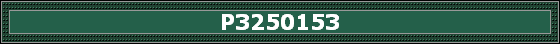 P3250153